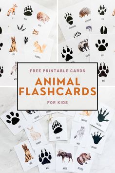 printable animal flashcards for kids with the words free printable cards on them