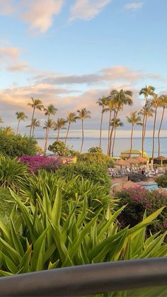 an ocean view with palm trees in the foreground and lawn chairs on the other side