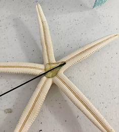 a white starfish laying on top of a table