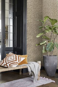 a potted plant sitting on top of a wooden bench in front of a door