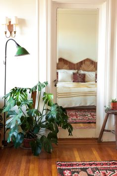 a living room with wooden floors and a large mirror on the wall next to a potted plant