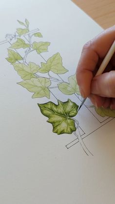 a person is drawing with colored pencils on paper that has green leaves and vines