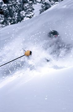 a person skiing down a snowy hill with trees in the background