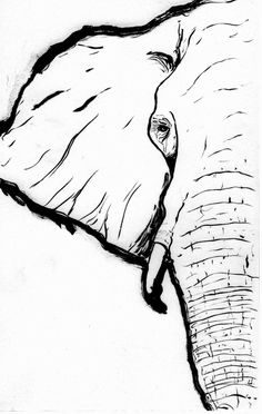 a drawing of an elephant's trunk is shown in black and white