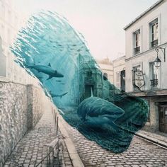 two dolphins swimming in the water next to buildings and cobblestone street with people walking on either side