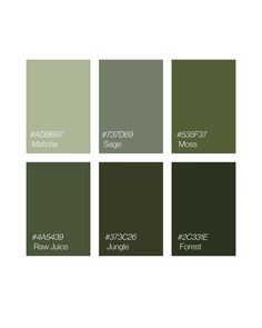 four different shades of green and brown with the words,'color matcha '