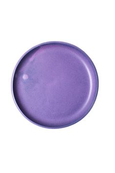 an empty purple plate on a white background