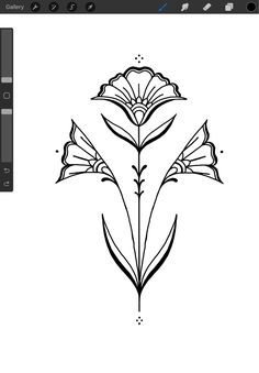 an image of a flower drawn in adobe