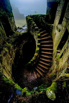 a spiral staircase with moss growing on the side and water in the middle, surrounded by cliffs