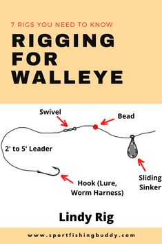 the rigging for walleye diagram shows how to hook it and how to use it