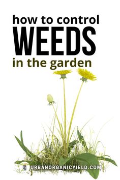 the title for how to control weeds in the garden