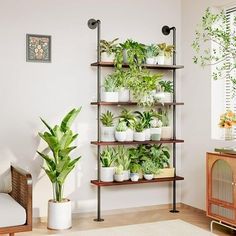 Plant Shelf Indoor, Plant Stand Large, Diy Plant Stands, Ladder Plant Stand, Ladder Stands, Plant Rack, 4 Tier Shelf, Indoor Balcony