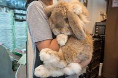 a woman holding a stuffed rabbit in her arms