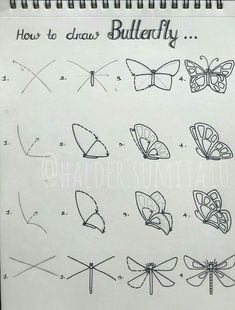 an open notebook with drawings of different types of butterflies on the page and how to draw them