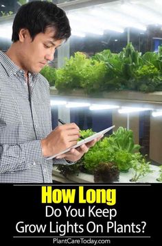 a man looking at plants in a greenhouse with the text how long do you keep grow lights on plants?