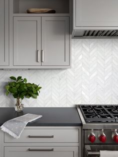 a potted plant sitting on top of a stove in a kitchen next to gray cabinets