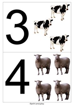 the numbers are shown with black and white sheep in front of them, as well as four