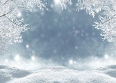 an image of snow and trees in the wintertime with bright lights coming from behind