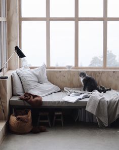 a cat sitting on top of a bed in front of a window with pillows and blankets