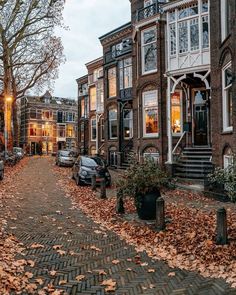 a cobblestone street with parked cars and autumn leaves on the ground in front of buildings