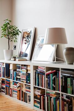 a bookshelf filled with lots of books next to a lamp and potted plant