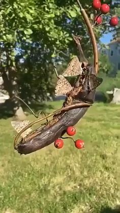 a tree with red berries hanging from it's branches in a yard next to a house