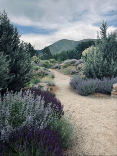 a dirt path surrounded by trees and bushes