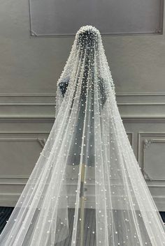 a wedding veil with white pearls on the bottom is shown in front of a door