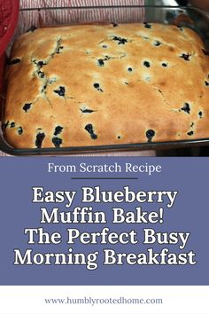 blueberry muffin bake in a pan with text overlay that reads, from scratch recipe easy blueberry muffin bake the perfect busy morning breakfast