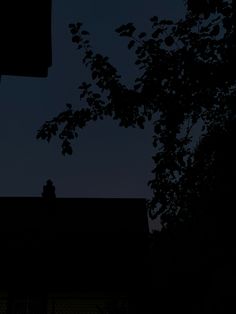 the silhouette of a building and tree at night