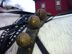 the back end of a white horse with black bridles