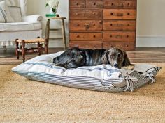 a dog laying on top of a pillow on the floor