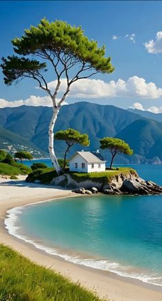 a small house on an island in the middle of the ocean with trees growing out of it