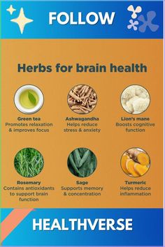 Discover six incredible herbs known for enhancing memory, focus, and overall brain health. From reducing mental fatigue to improving cognitive function, these natural remedies are backed by tradition and modern research. Learn how to incorporate them into your daily routine for optimal mental performance. Improve Memory Brain, Mental Performance, Mental Fatigue, Improve Cognitive Function, Improve Focus, Reduce Inflammation, Daily Routine