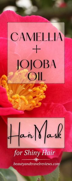 DIY beauty/hair care: This camellia oil and jojoba oil hair mask strengthens and thickens hair and boosts shine. Use as a conditioner or overnight treatment. Hair Thickening Diy, Jojoba Oil Recipes, Hair Thickening Remedies, Diy Hair Oil