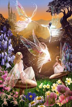 Fairy Girls, Fairy Dragon