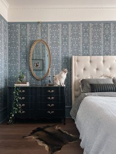 a cat sitting on top of a dresser next to a bed in a room with blue wallpaper