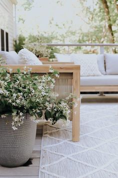 a potted plant sitting on top of a wooden floor next to a couch and coffee table