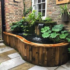 an outdoor pond with water flowing from it and plants growing on the side of it