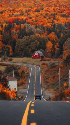 a car driving down an empty road in the fall