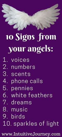 an angel's wings with the words 10 signs from your angels written below it