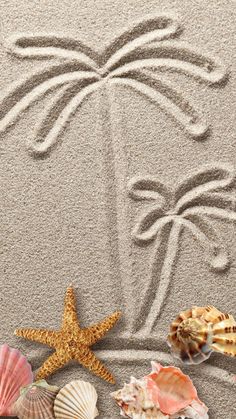 starfish, seashells and palm trees on the beach with waves drawing in sand