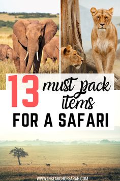 the 13 must pack items for a safari