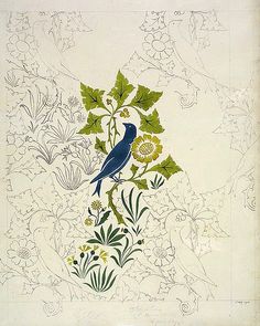 a blue bird sitting on top of a leafy plant with leaves and flowers around it