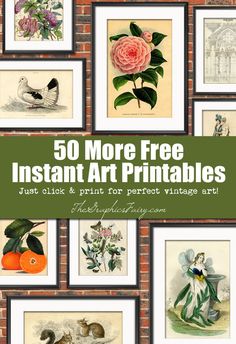 the cover of 50 more free instant art printables that are also available for purchase