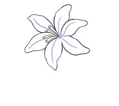 a drawing of a flower on a white background