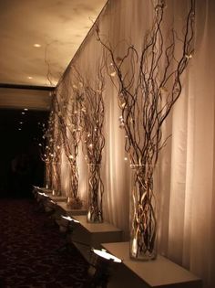 three tall vases with branches in them are lined up against the wall