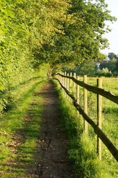 a wooden fence next to a grassy field with trees on both sides and grass in the middle