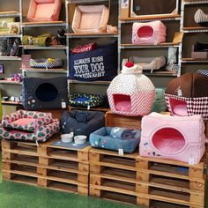 many different types of dog beds are on display in a pet store with wooden pallets