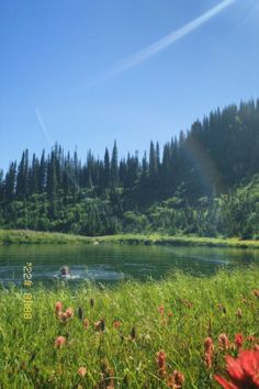 the sun shines brightly over a body of water with wildflowers in the foreground